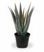Planta artificial Aloe Vera 30 cm