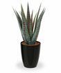 Planta artificial Aloe Vera 30 cm