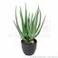 Planta artificial Aloe Vera 45 cm
