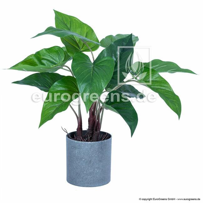 Planta artificial Anthurium 40 cm