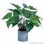 Planta artificial Anthurium 45 cm
