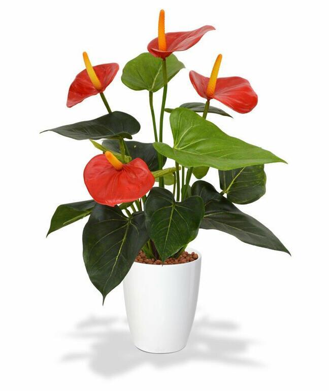 Planta artificial Anthurium rojo 40 cm