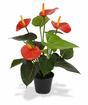 Planta artificial Anthurium rojo 40 cm