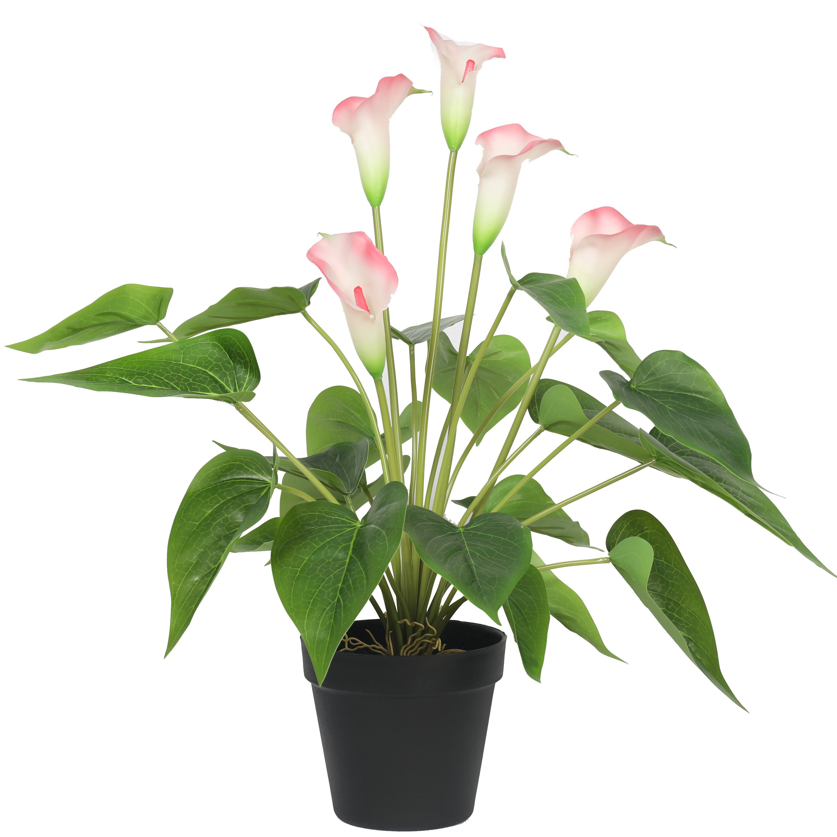 Planta artificial Calla blanco-rosa 50 cm