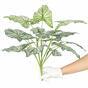 Planta artificial Calladium bicolor 50 cm