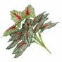 Planta artificial Calladium multicolor 50 cm