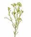 Planta artificial Chamelaucium uncinatum 65 cm