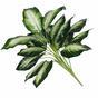 Planta artificial Dífenbachia blanca 50 cm