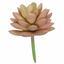 Planta artificial Echeveria de color de salmon 9.5 cm