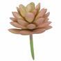 Planta artificial Echeveria de color de salmon 9.5 cm