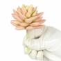 Planta artificial Echeveria de color de salmon 9.5 cm
