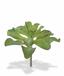 Planta artificial Eševéria 20 cm
