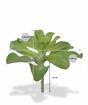Planta artificial Eševéria 20 cm