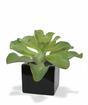 Planta artificial Eševéria 20 cm