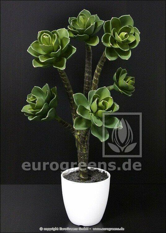 Planta artificial Eševéria 55 cm