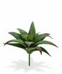 Planta artificial Haworthia 13 cm