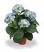 Planta artificial Hortensia azul 45 cm