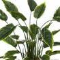 Planta artificial Hosta 50 cm