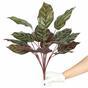 Planta artificial Kalatea 50 cm