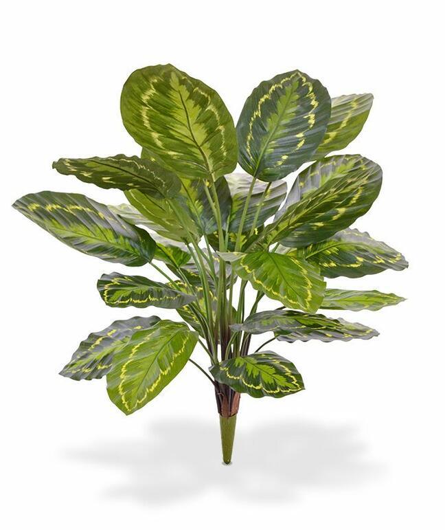 Planta artificial Kalatea 65 cm