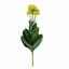 Planta artificial Marolista balsámico 22 cm