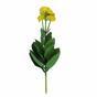 Planta artificial Marolista balsámico 22 cm