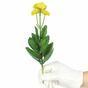 Planta artificial Marolista balsámico 22 cm