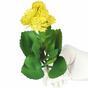 Planta artificial Marolista balsámico 22 cm