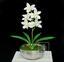 Planta artificial Orchidea Cymbidium crema 50 cm