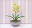 Planta artificial Orchidea Cymbidium verde claro 50 cm