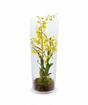 Planta artificial Orchidea Oncídium 80 cm