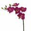 Planta artificial Orquídea violeta 50 cm
