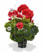 Planta artificial Pakost rojo 40 cm