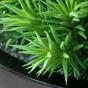 Planta artificial Peperomia 23 cm