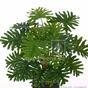 Planta artificial Philodendron xanadu 40 cm