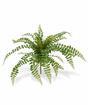 Planta artificial rotundifolia 55 cm