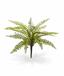 Planta artificial Spleenwort 35 cm