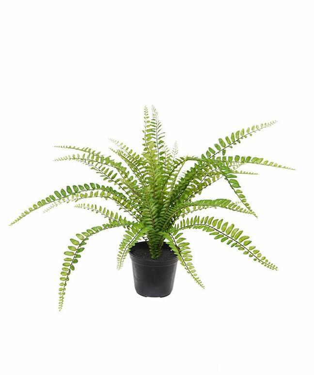 Planta artificial Spleenwort 45 cm