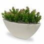 Planta artificial Stonecrop 18 cm