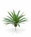 Planta artificial Yucca 55 cm