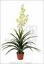 Planta artificial Yucca hermosa 125 cm
