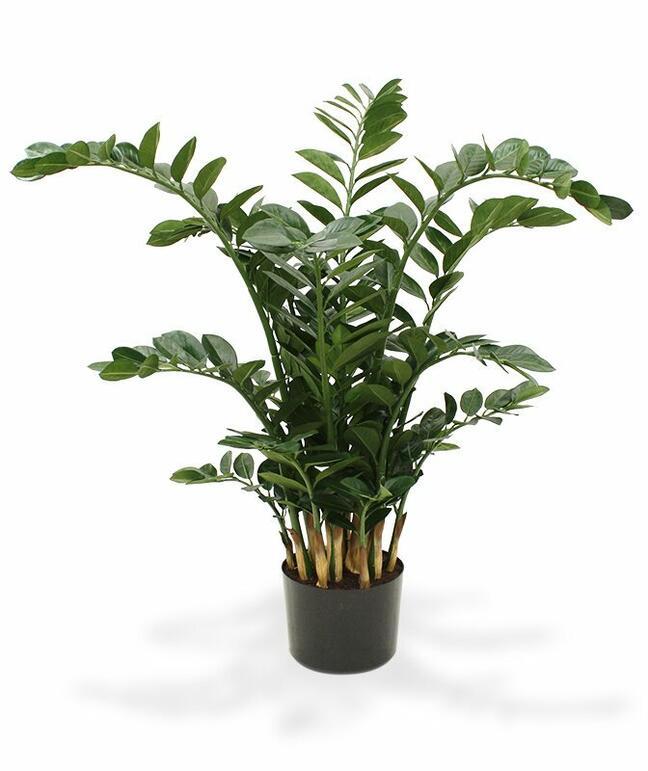 Planta artificial Zamiokulkas 120 cm
