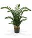 Planta artificial Zamiokulkas 120 cm