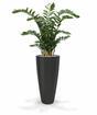Planta artificial Zamiokulkas 120 cm