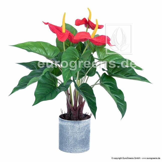 Planta de anturio artificial que florece 45 cm