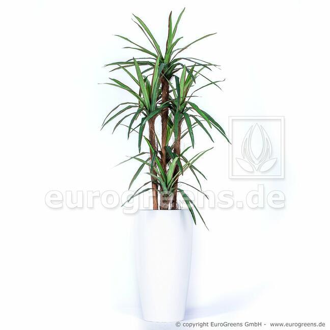 Planta de Dracena artificial forrada con 140 cm