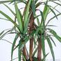 Planta de Dracena artificial forrada con 140 cm