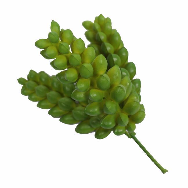 Planta de loto artificial Sedum Burrito 12 cm