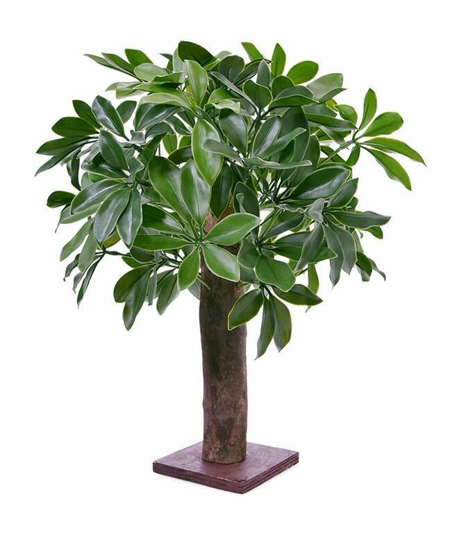 Planta Shefler artificial 50 cm