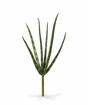Plantas artificiales Svokrine lenguas 20 cm